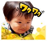 798605113