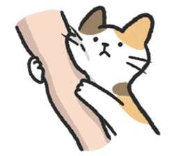 ลายที่ 3