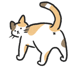 ลายที่ 5