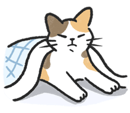 ลายที่ 11