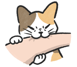 ลายที่ 13