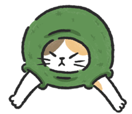 ลายที่ 15