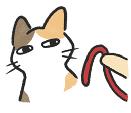 ลายที่ 17