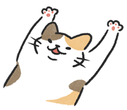 ลายที่ 19