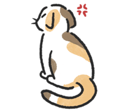 ลายที่ 21