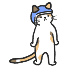 ลายที่ 23