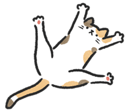 ลายที่ 25