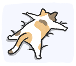 ลายที่ 27