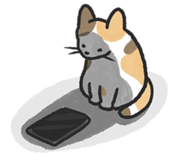 ลายที่ 29