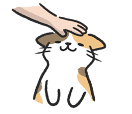 ลายที่ 31