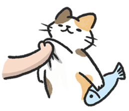 ลายที่ 33