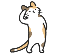 ลายที่ 35