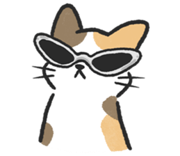 ลายที่ 37