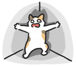 ลายที่ 41