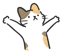 ลายที่ 43