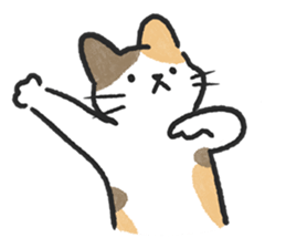 ลายที่ 45