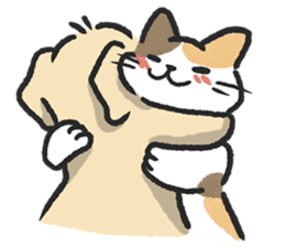 ลายที่ 47