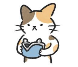 ลายที่ 53