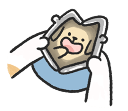 ลายที่ 55