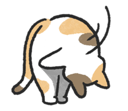 ลายที่ 57