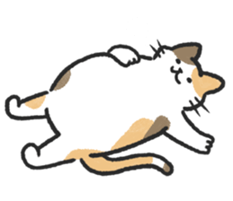 ลายที่ 59