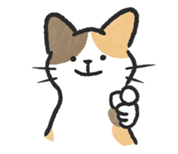 ลายที่ 63