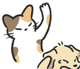 ลายที่ 65