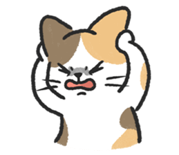 ลายที่ 67