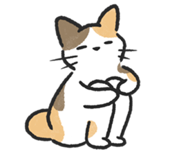 ลายที่ 71