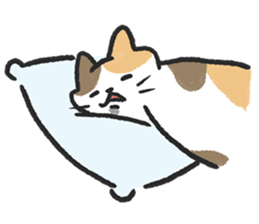 ลายที่ 73