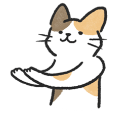 ลายที่ 77