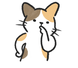 ลายที่ 79