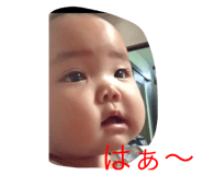 798642644