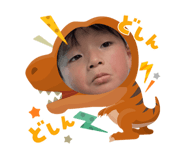 798650558