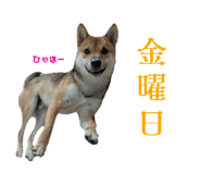 798656796