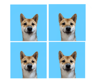 798656805