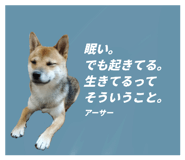 798656806