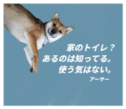798656808