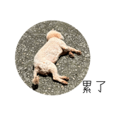 798657177