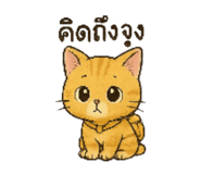 798661565