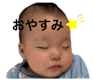 798661955