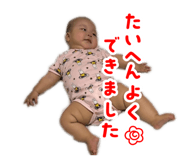 798661981