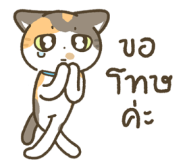 มีตัง แมวขายาว รูปที่ 4