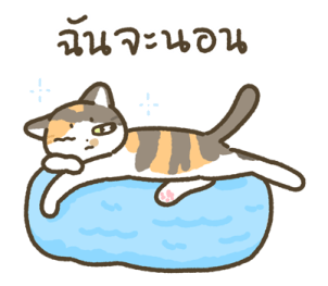 มีตัง แมวขายาว รูปที่ 7