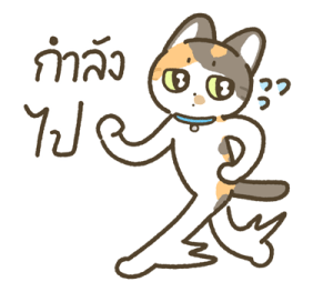 มีตัง แมวขายาว รูปที่ 8