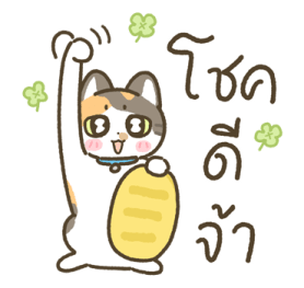 มีตัง แมวขายาว รูปที่ 11