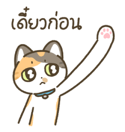 มีตัง แมวขายาว รูปที่ 12