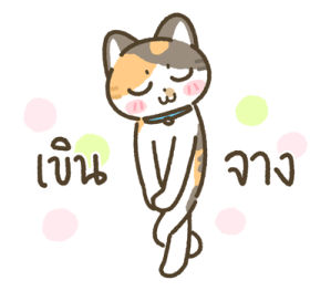 มีตัง แมวขายาว รูปที่ 13