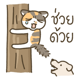 มีตัง แมวขายาว รูปที่ 17