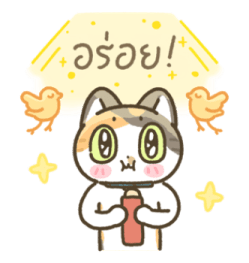 ลายที่ 41